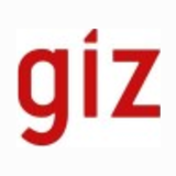GIZ logo